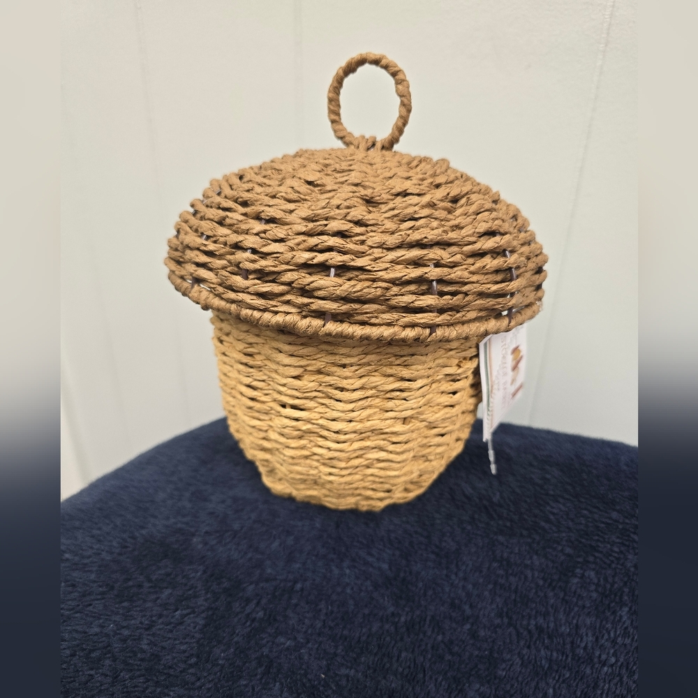 GIVEAWAY! Fall Harvast Woven Baskets- Apple, Acorn or Pumpkin - Picture 6 of 9